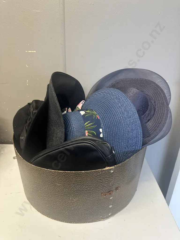 Selection of Ladies Hats Etc Image 1++