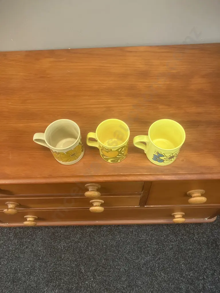 Vintage 1970s Staffordshire Potteries (England) Floral Mugs x 3 Image 1++