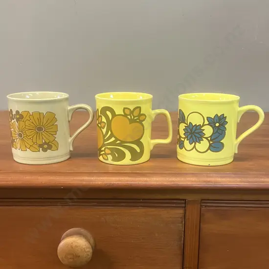 Vintage 1970s Staffordshire Potteries (England) Floral Mugs x 3