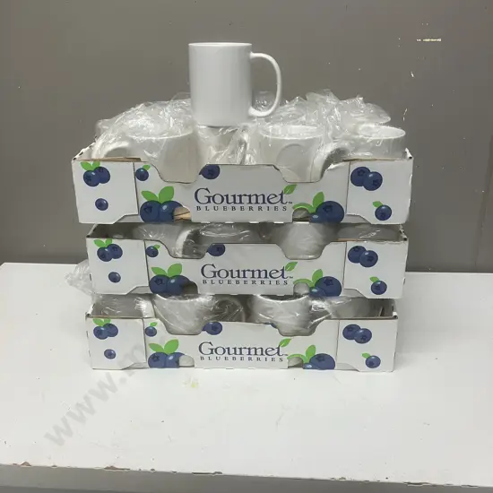 Lot of 36 x White Mugs