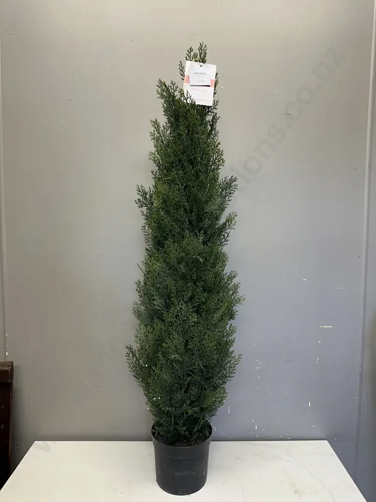 1.2m Cedar Topiary Image 1++