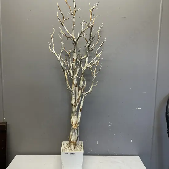 Tree Form In Pot. 122cm