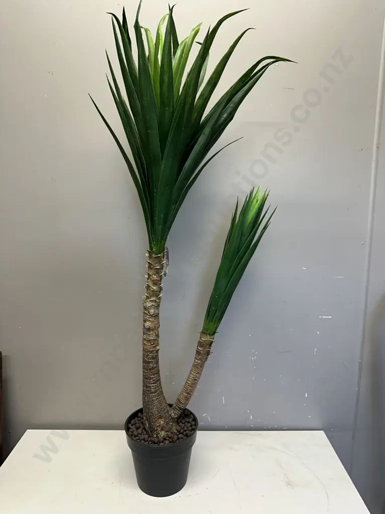Yucca With Pot. 120cm Image 1++