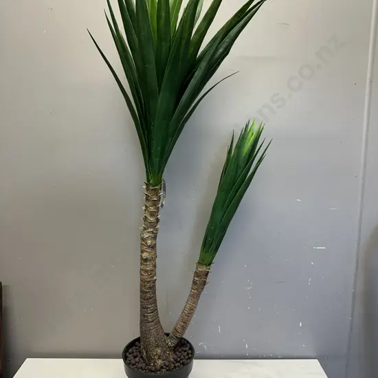 Yucca With Pot. 120cm