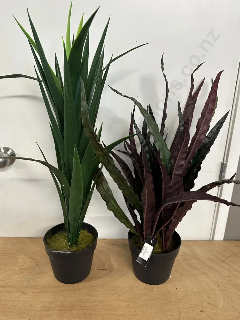 Faux Plants In Pots Including Calathea Insignis & Yucca  Image 1++