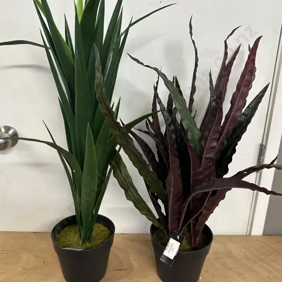 Faux Plants In Pots Including Calathea Insignis & Yucca 