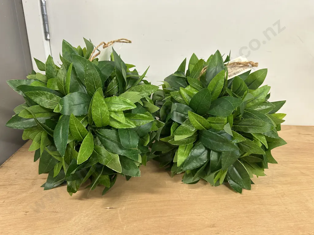 Pair Of Hanging Leaf Topiary Image 1++