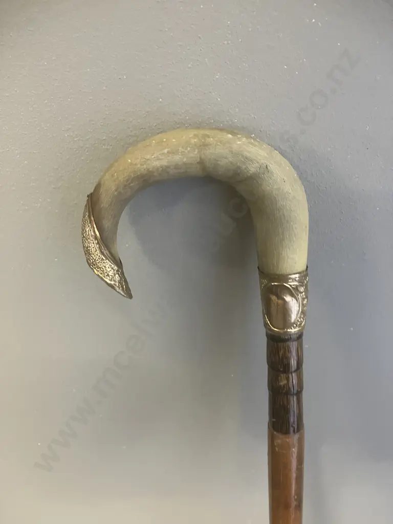 Antique Horn Handle Walking Cane With Ornate Gilt Metal Collar & Crown. Image 1++