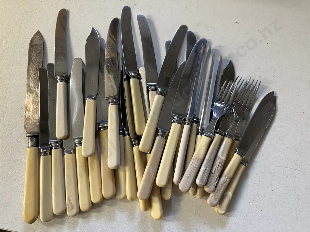 Selection Of Bone Handled Cutlery Including Knives Etc Image 1++