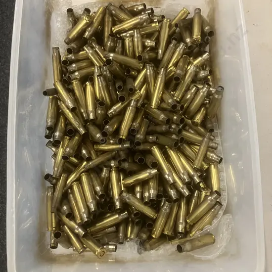Large Amount of Brass Cartridges Cases