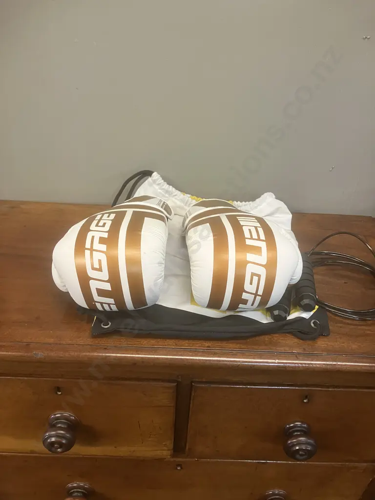 Engage E-Series Boxing Gloves (Gold) 16OZ With Bag & Boxing Skipping Rope Image 1++