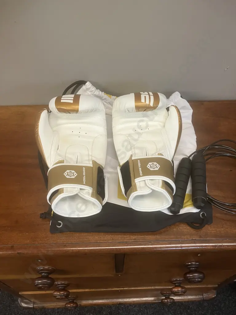 Engage E-Series Boxing Gloves (Gold) 16OZ With Bag & Boxing Skipping Rope Image 1++