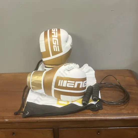 Engage E-Series Boxing Gloves (Gold) 16OZ With Bag & Boxing Skipping Rope
