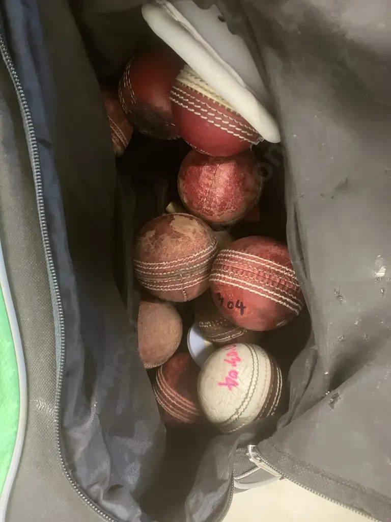 Cricket Gear In Gray-Nicholls Crocket Bag - Junior Elite Size Helmet, Bats, Balls Etc Image 1++