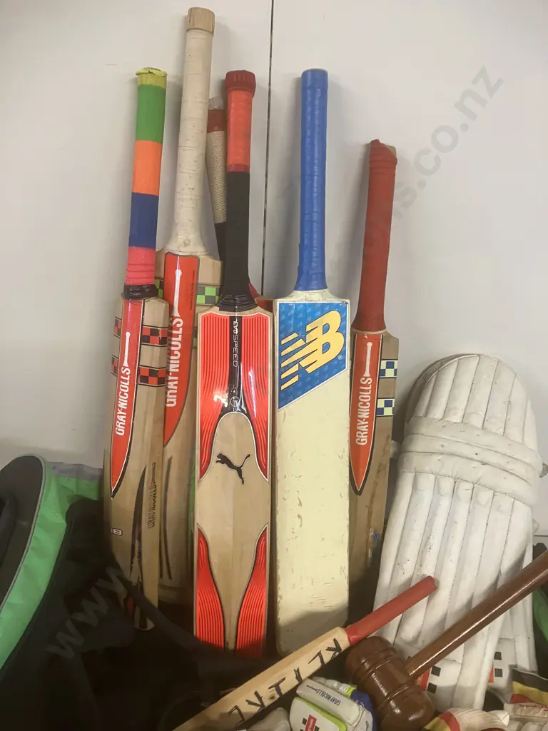 Cricket Gear In Gray-Nicholls Crocket Bag - Junior Elite Size Helmet, Bats, Balls Etc Image 1++