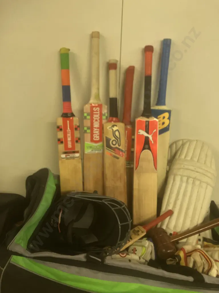 Cricket Gear In Gray-Nicholls Crocket Bag - Junior Elite Size Helmet, Bats, Balls Etc Image 1++