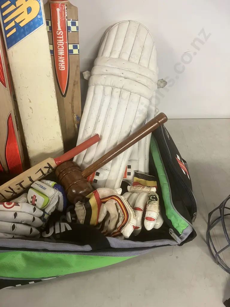 Cricket Gear In Gray-Nicholls Crocket Bag - Junior Elite Size Helmet, Bats, Balls Etc Image 1++
