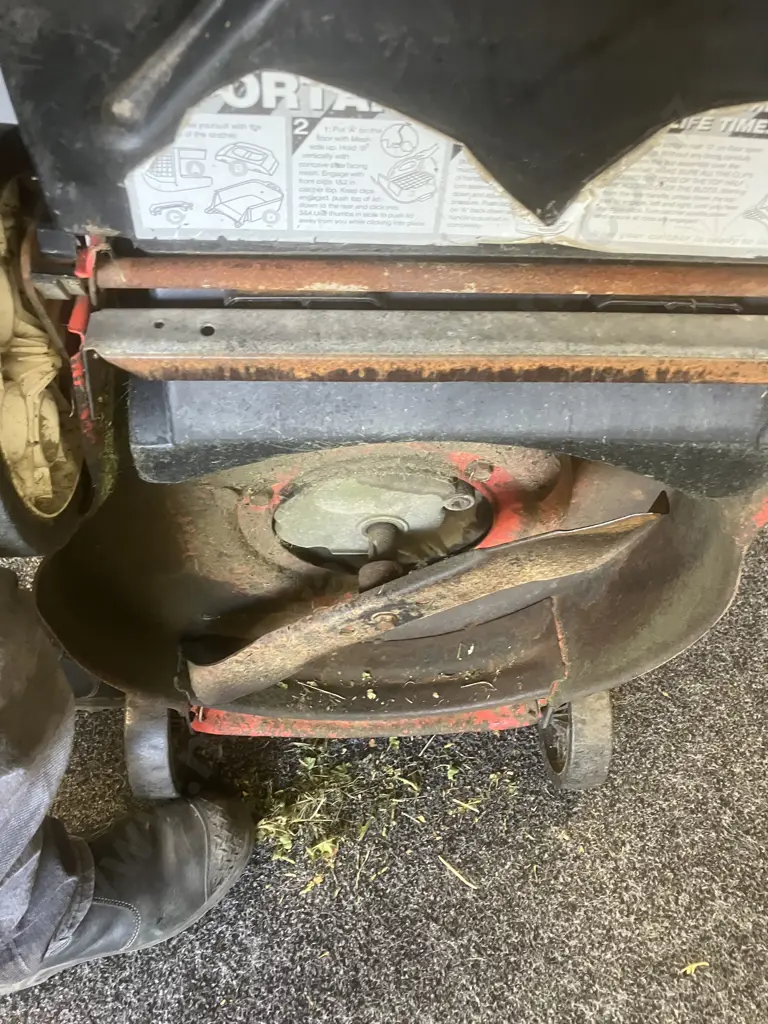 Morrison Novara 350ST Lawnmower With Catcher, B&S 450 Series 148cc Image 1++