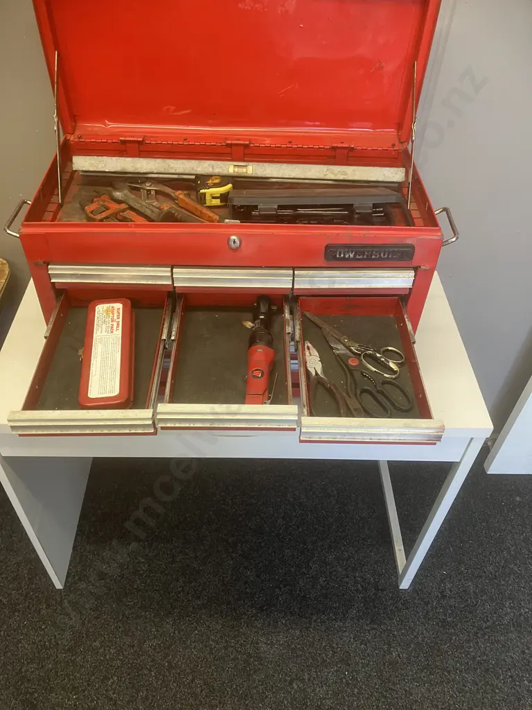 PowerBuilt 9 Drawer Toolbox & Tools With Record 918 Bolt Cutters Image 1++