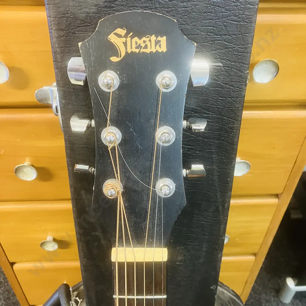 Fiesta D-65 Dreadnought Acoustic Guitar by Aria With Moulded Case - FST-D65D Image 1++