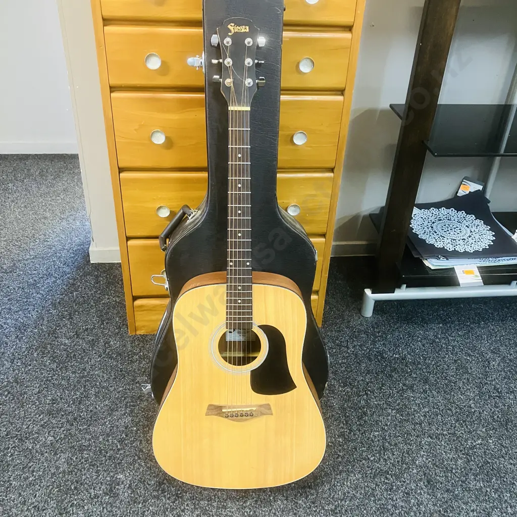 Fiesta D-65 Dreadnought Acoustic Guitar by Aria With Moulded Case - FST-D65D Image 1++