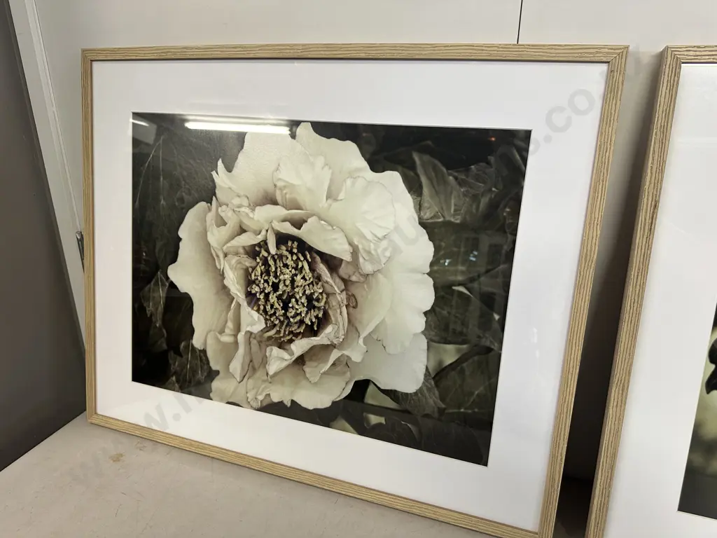 Rachel Perry Framed Art Prints Golden Era Peony I & II. 67 x 83cm. Image 1++