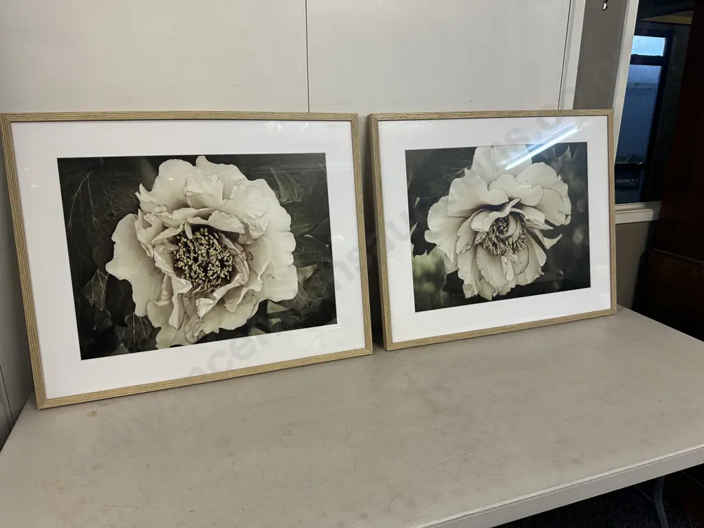Rachel Perry Framed Art Prints Golden Era Peony I & II. 67 x 83cm. Image 1++