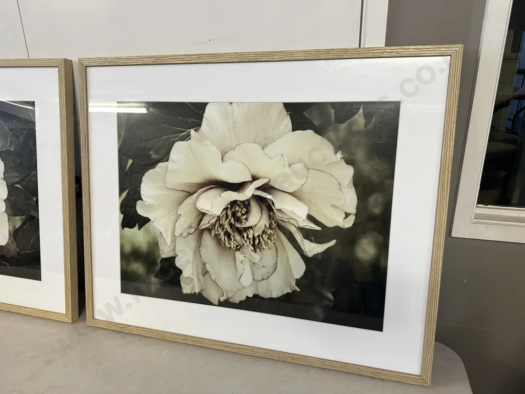 Rachel Perry Framed Art Prints Golden Era Peony I & II. 67 x 83cm. Image 1++