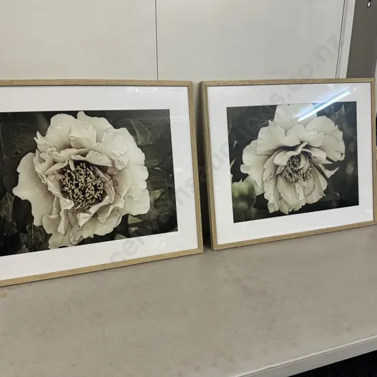 Rachel Perry Framed Art Prints Golden Era Peony I & II. 67 x 83cm.