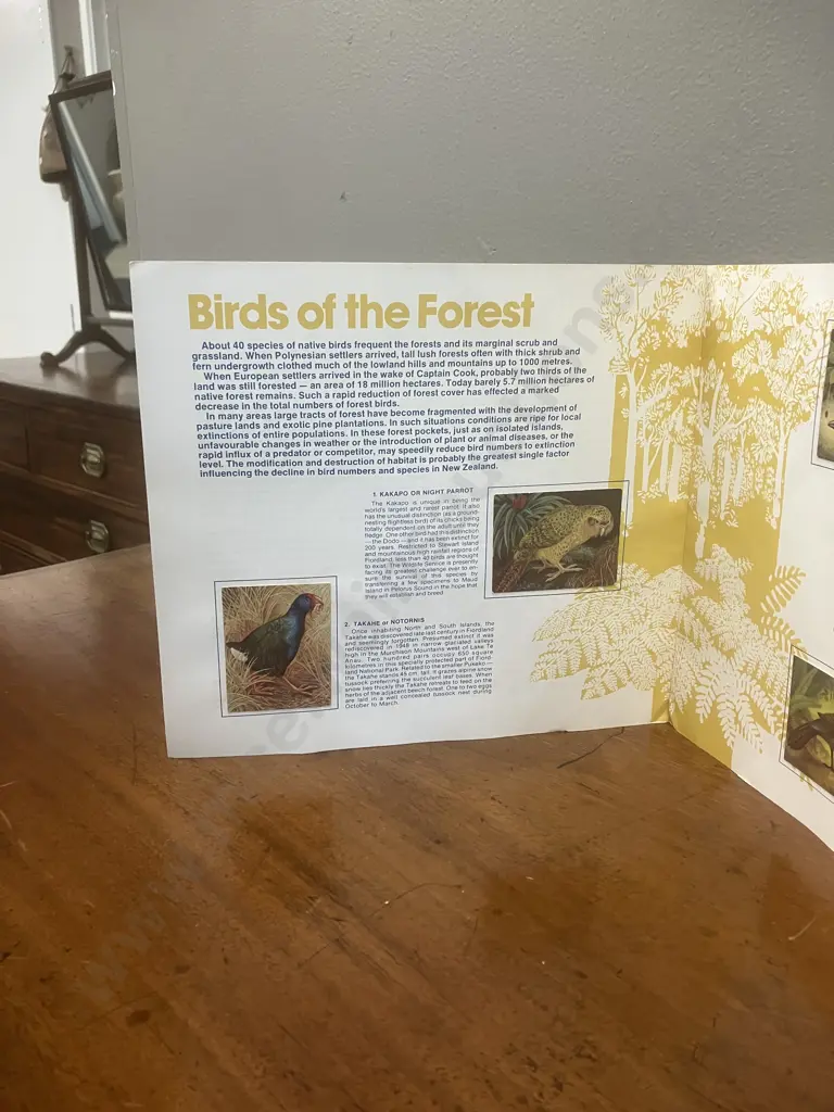 1970s Greggs Rare and Endangered Birds of New Zealand Collectors Album With Cards Image 1++