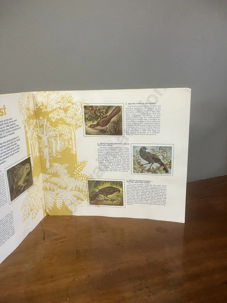 1970s Greggs Rare and Endangered Birds of New Zealand Collectors Album With Cards Image 1++