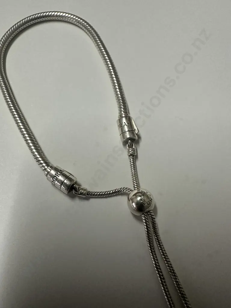 Pandora Bracelet Image 1++
