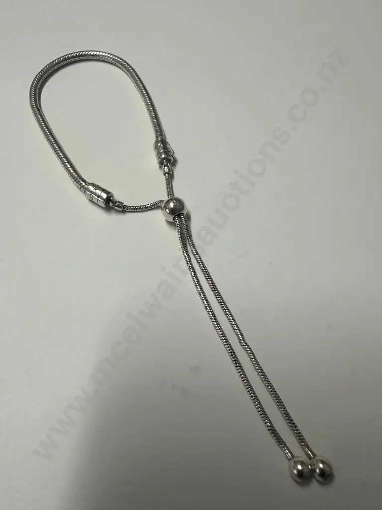 Pandora Bracelet Image 1++