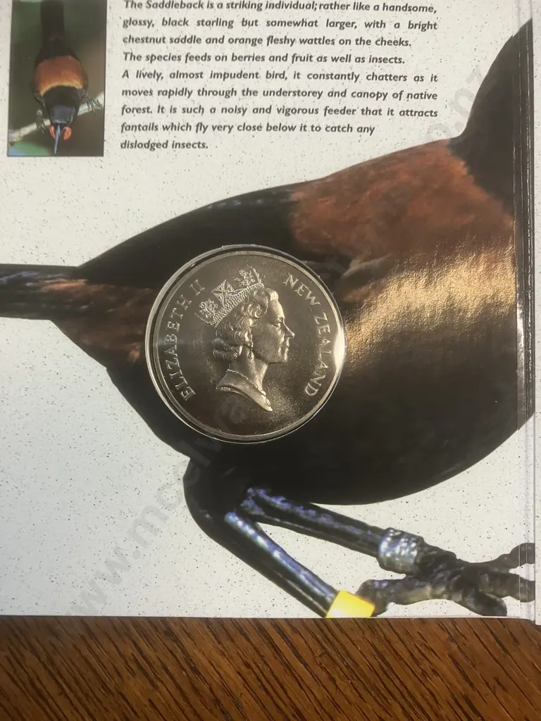 New Zealand 1997 Brilliant Uncirculated $5 Coin - Saddleback With Outer Sleeve & Info Card Image 1++