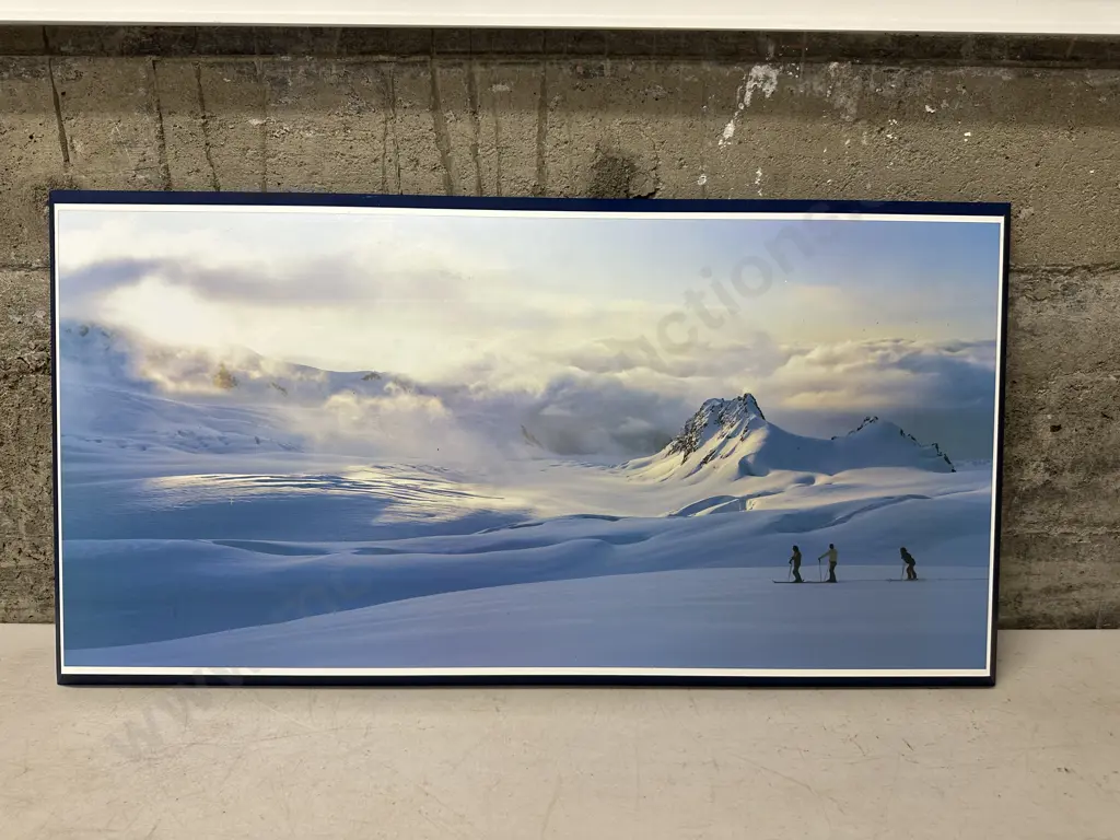 Artwork On Board Fox Glacier, West Coast NZ Photo By Graig Potton 33x65cm. Image 1++