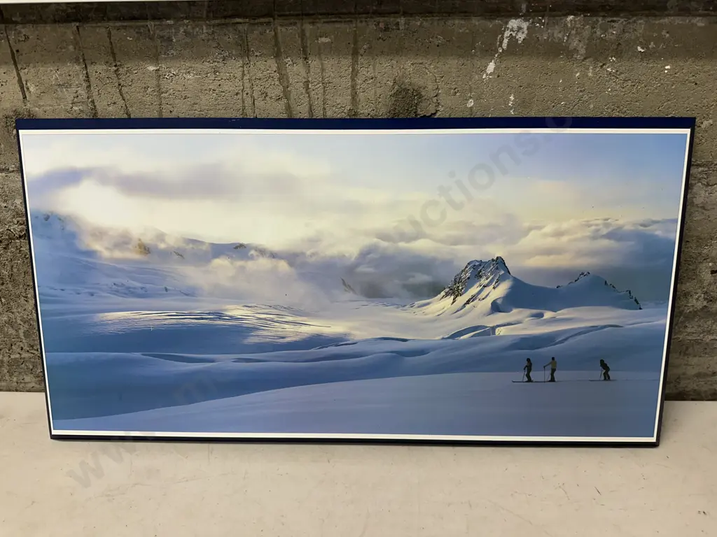 Artwork On Board Fox Glacier, West Coast NZ Photo By Graig Potton 33x65cm. Image 1++