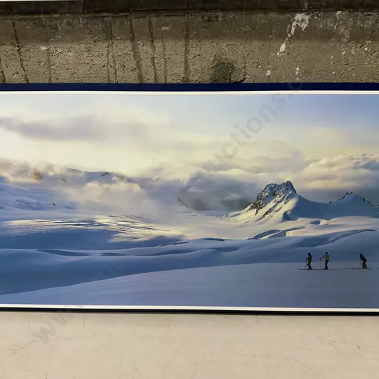 Artwork On Board Fox Glacier, West Coast NZ Photo By Graig Potton 33x65cm.