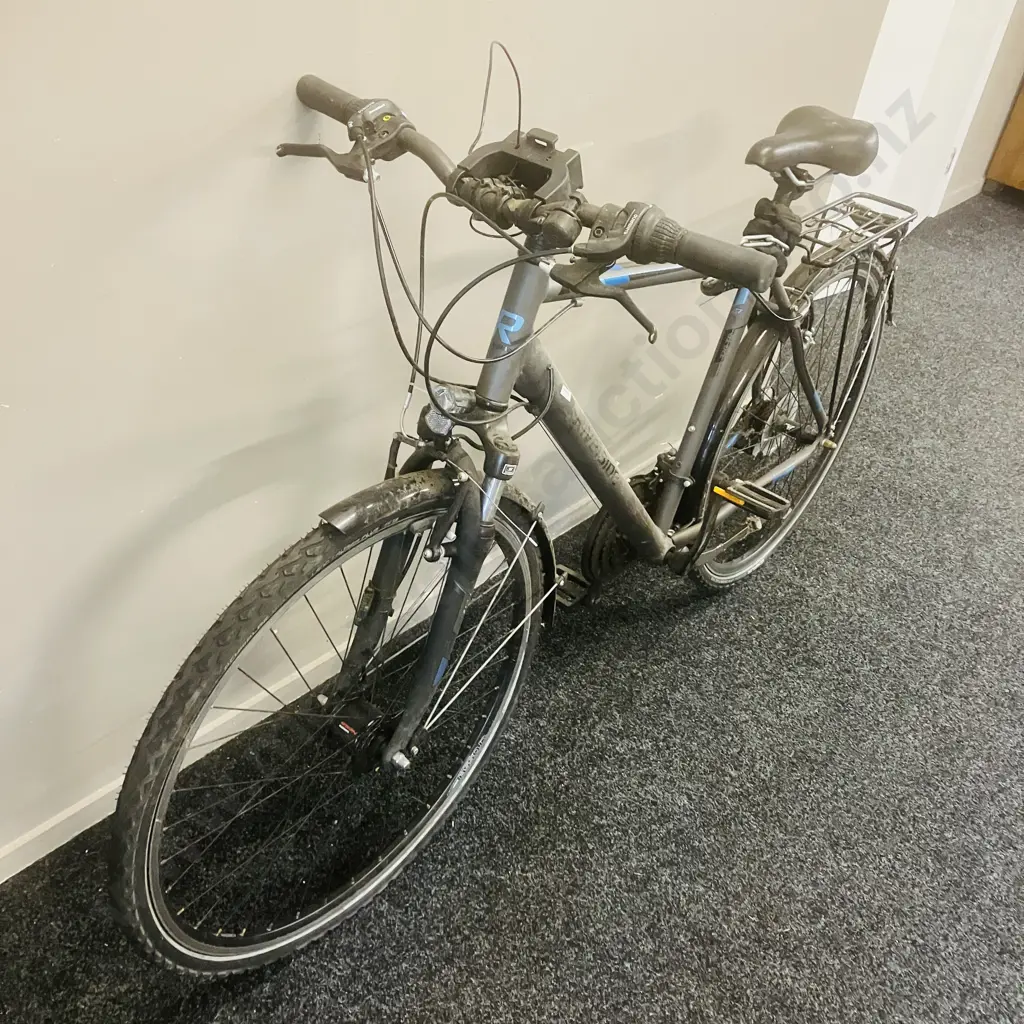 Grey / Blue Riverside 320TB Bike Image 1++