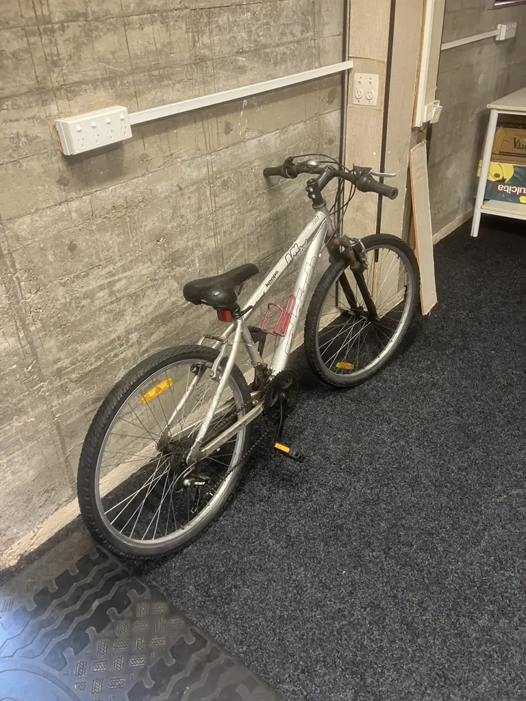 Grey Raleigh NM Hundred Performer Bike Image 1++