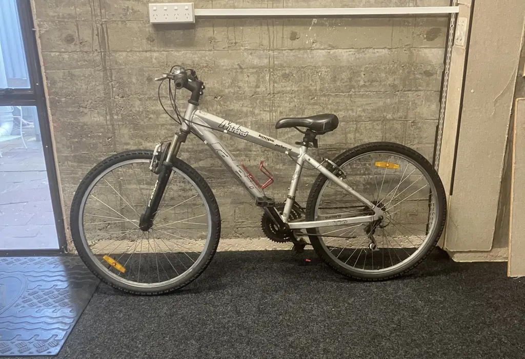 Grey Raleigh NM Hundred Performer Bike Image 1++