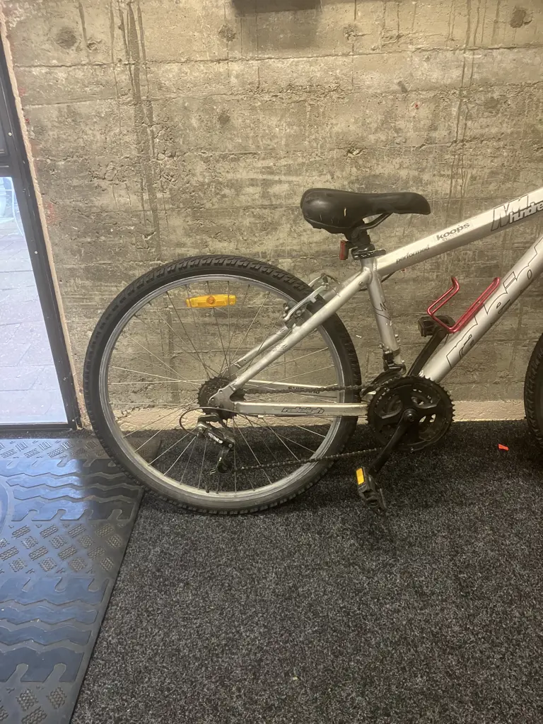 Grey Raleigh NM Hundred Performer Bike Image 1++