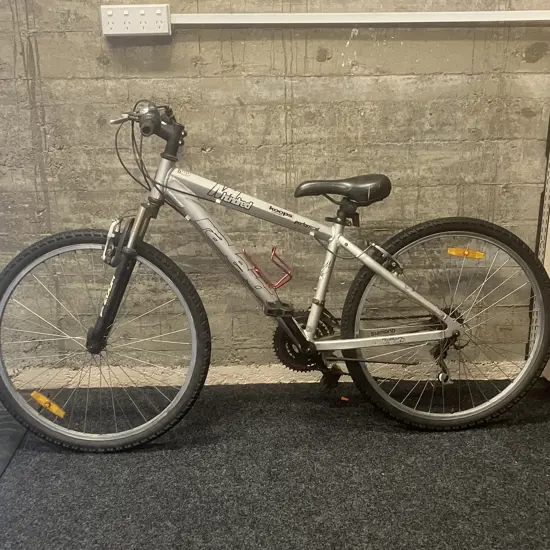 Grey Raleigh NM Hundred Performer Bike