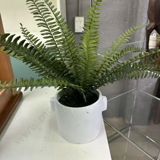 Faux Fern In White Pot