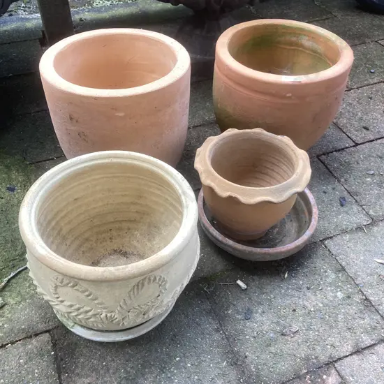 Assorted Terracotta Plant Pots