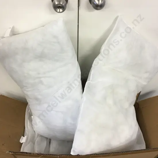 Box lot Pillow Inners