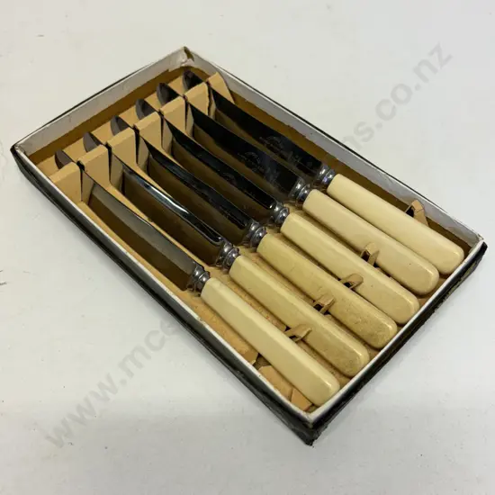 Vintage Boxed set of 6 Bone Handled Knives