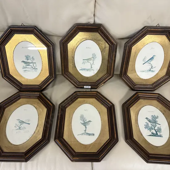 Six Octagonal Framed Copies of Old Italian Illustrations Small Passerines (16th - 17th century)