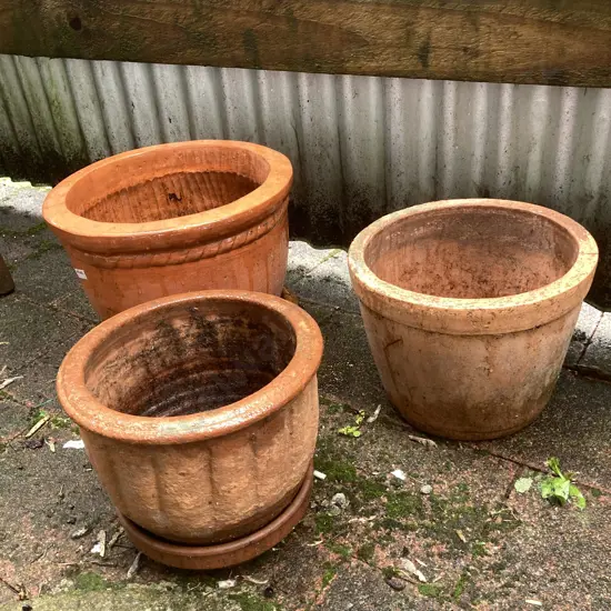 Lot of 3 Assorted Terracotta Planters