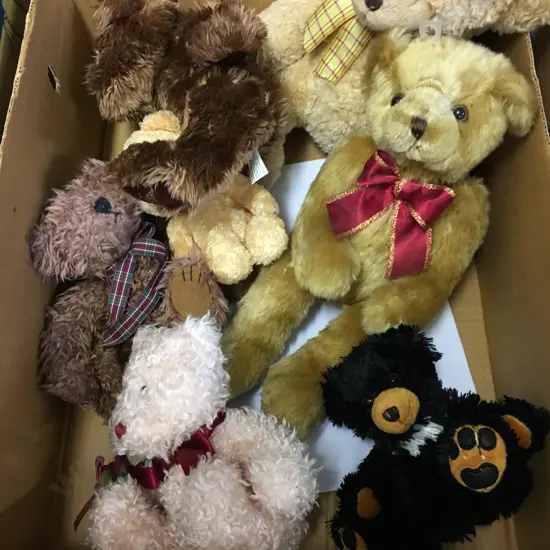 Box Lot Soft Toy Teddy Bears