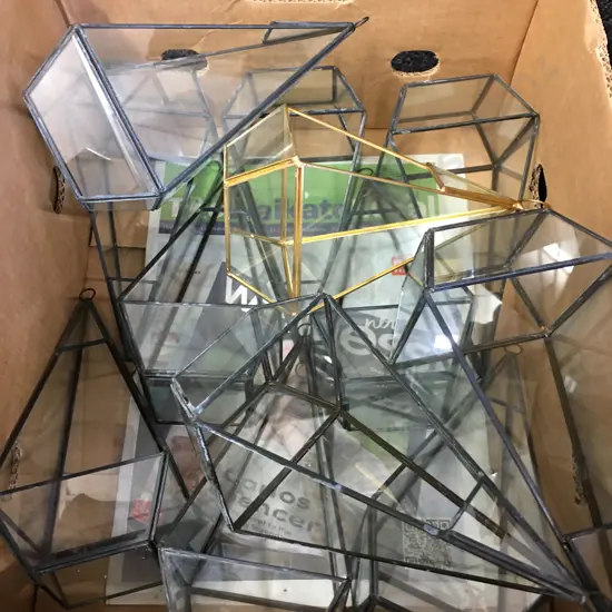 Assorted Hanging Glass Terrariums